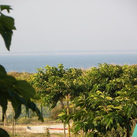 Au Petit Bonheur Hotel La Tranche-sur-Mer Ngoại thất bức ảnh