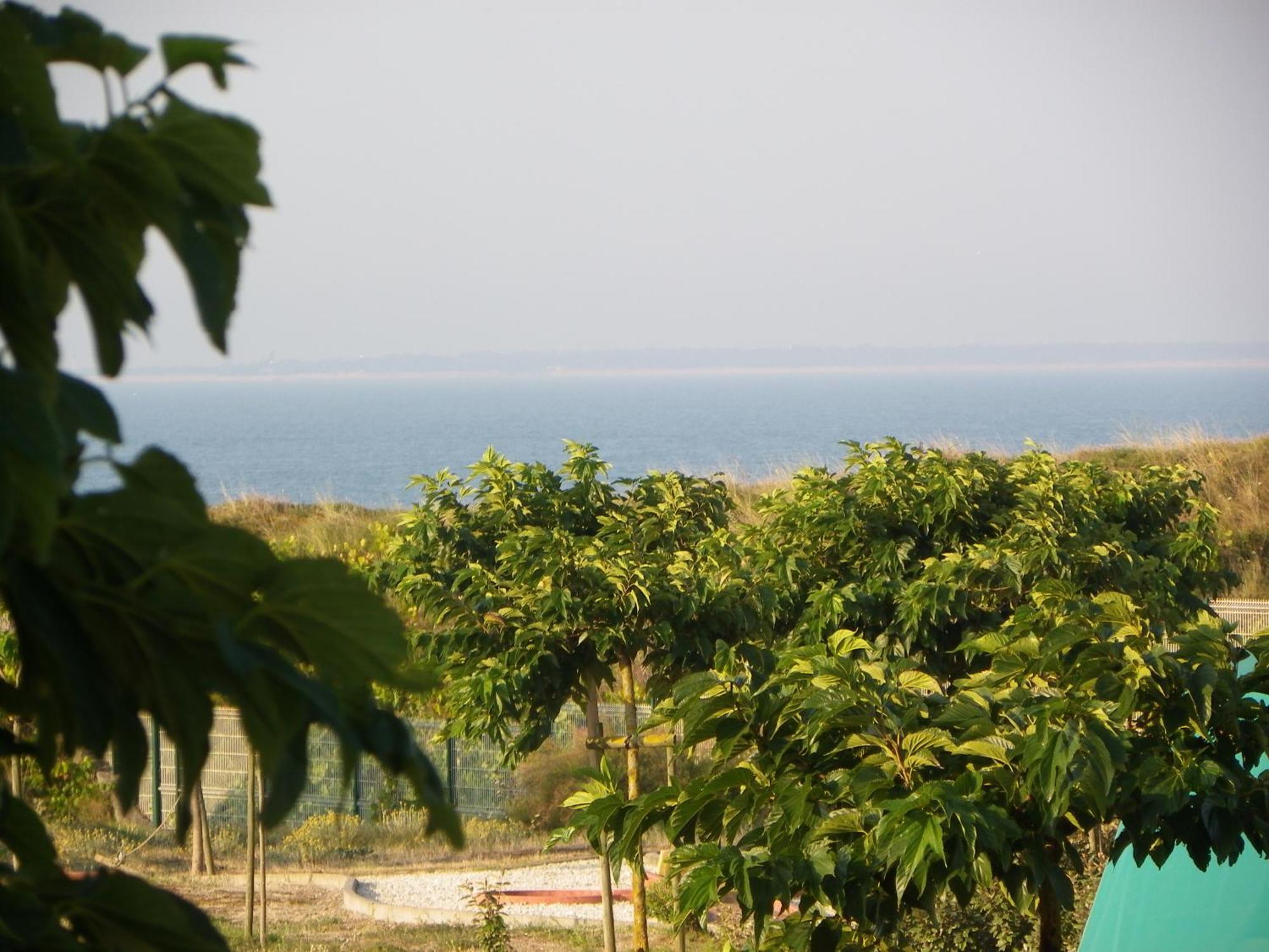 Au Petit Bonheur Hotel La Tranche-sur-Mer Ngoại thất bức ảnh