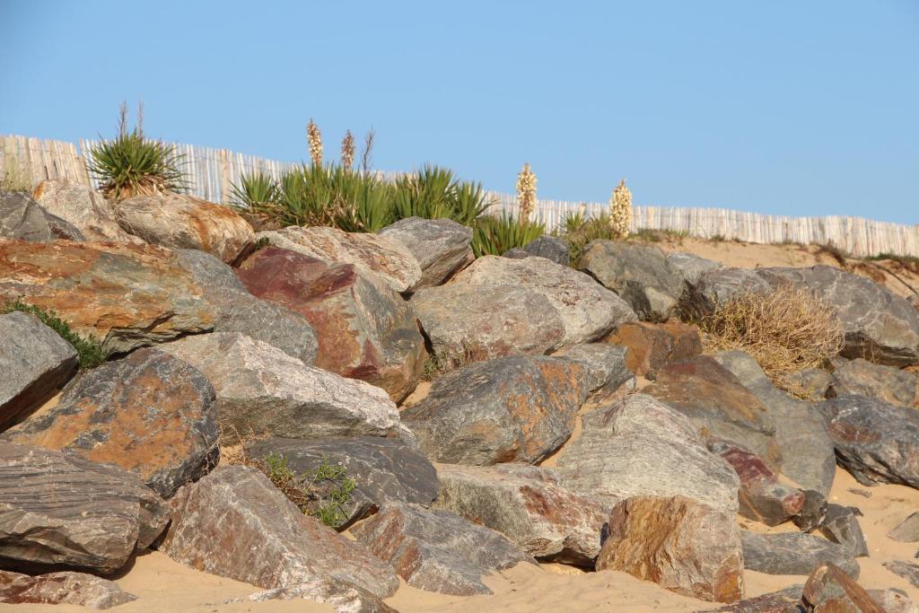 Au Petit Bonheur Hotel La Tranche-sur-Mer Ngoại thất bức ảnh